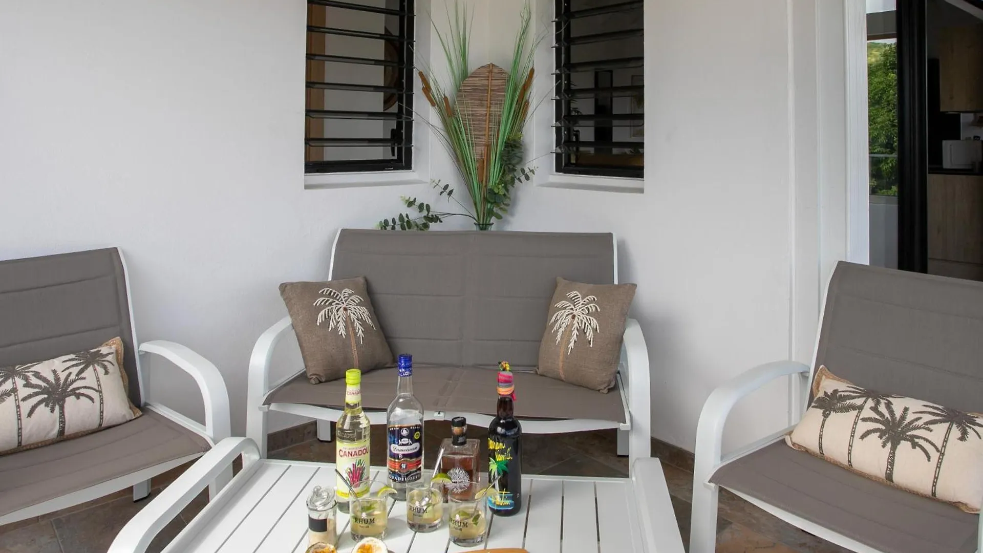 Villa Happy Salt, Vue Mer, Piscine, Jacuzzi Cul de Sac